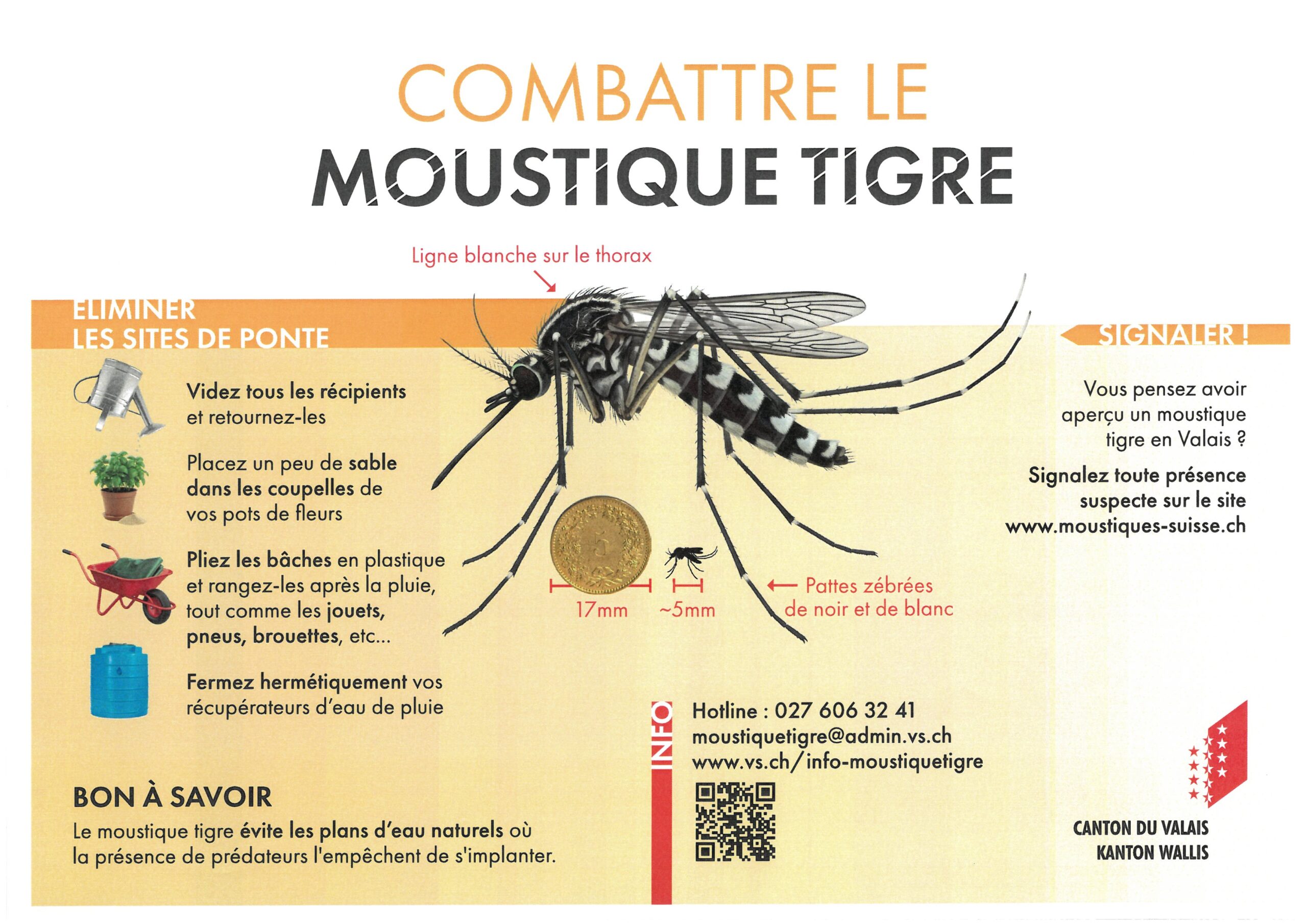Combattre le moustique tigre